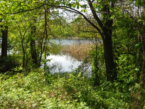 Laghi di Mercurago